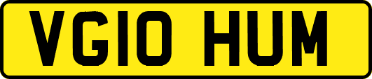VG10HUM