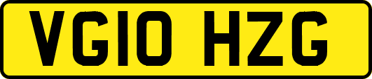 VG10HZG