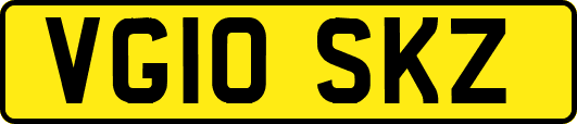 VG10SKZ
