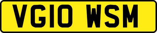 VG10WSM