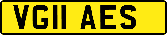 VG11AES