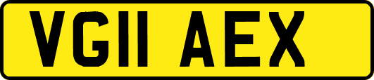 VG11AEX
