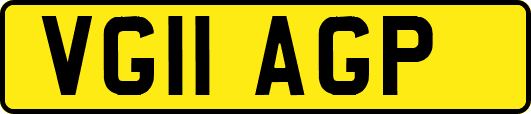 VG11AGP
