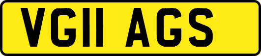 VG11AGS