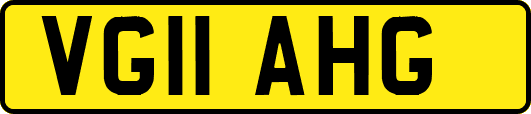 VG11AHG