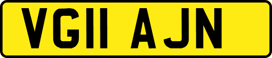 VG11AJN