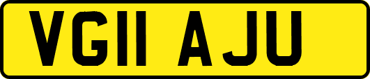 VG11AJU