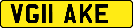 VG11AKE