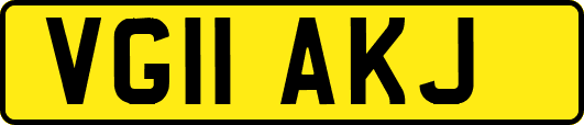 VG11AKJ