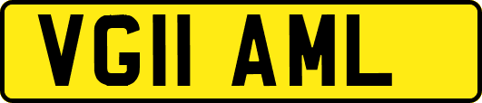 VG11AML