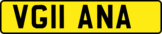 VG11ANA