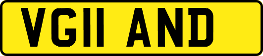 VG11AND
