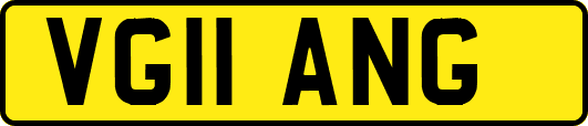 VG11ANG