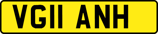 VG11ANH