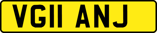 VG11ANJ