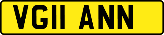 VG11ANN