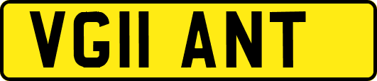 VG11ANT