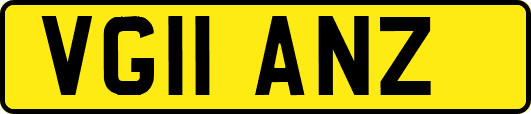 VG11ANZ