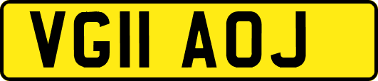 VG11AOJ