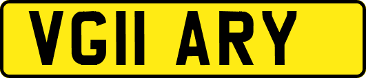 VG11ARY