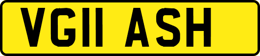 VG11ASH