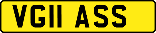VG11ASS