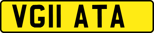VG11ATA