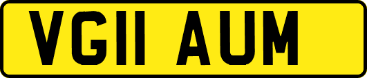 VG11AUM