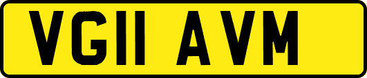 VG11AVM