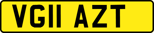 VG11AZT
