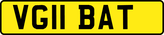 VG11BAT