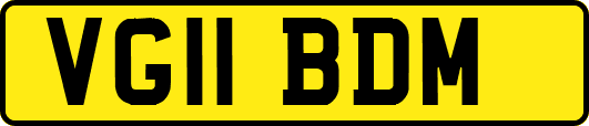 VG11BDM