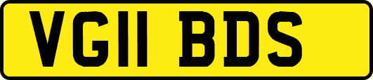 VG11BDS