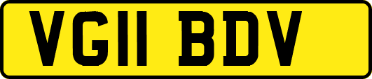 VG11BDV