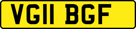 VG11BGF