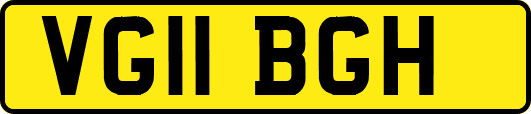 VG11BGH