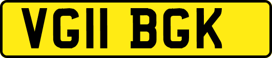 VG11BGK