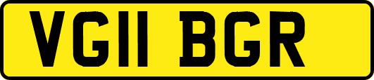 VG11BGR