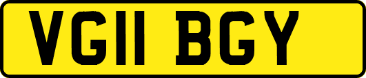 VG11BGY
