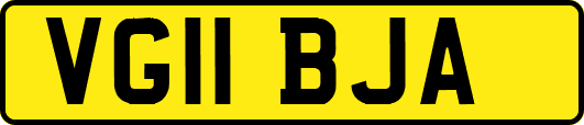 VG11BJA