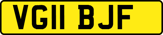 VG11BJF