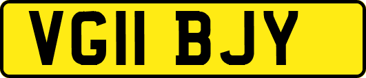 VG11BJY