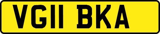 VG11BKA