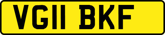 VG11BKF