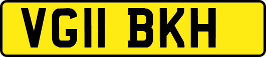 VG11BKH