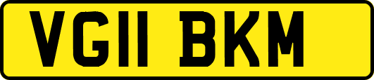 VG11BKM