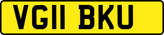 VG11BKU