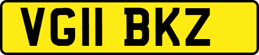 VG11BKZ