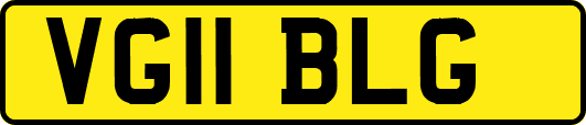 VG11BLG