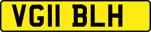 VG11BLH